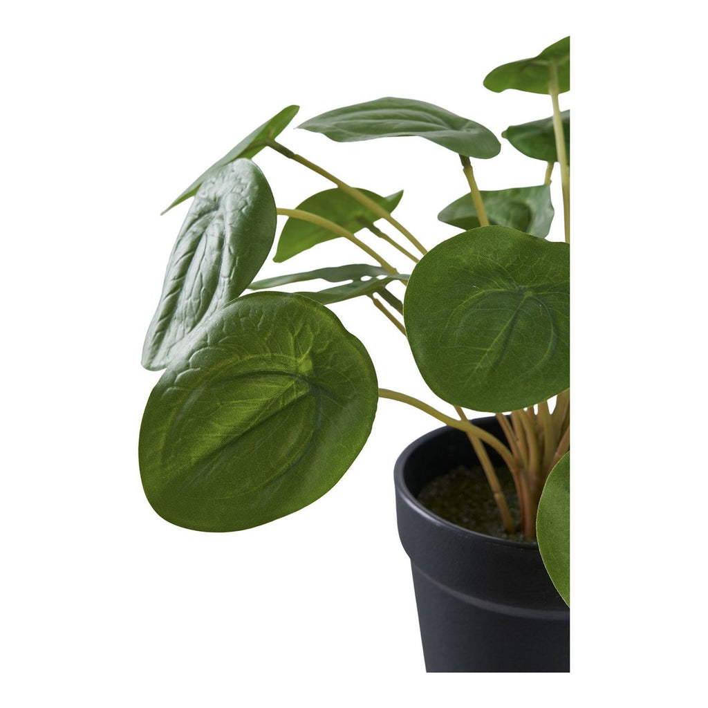 Faux Pilea Plant – Green