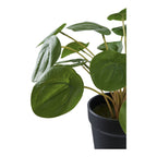 Faux Pilea Plant – Green