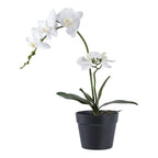 Faux Orchid Plant – White
