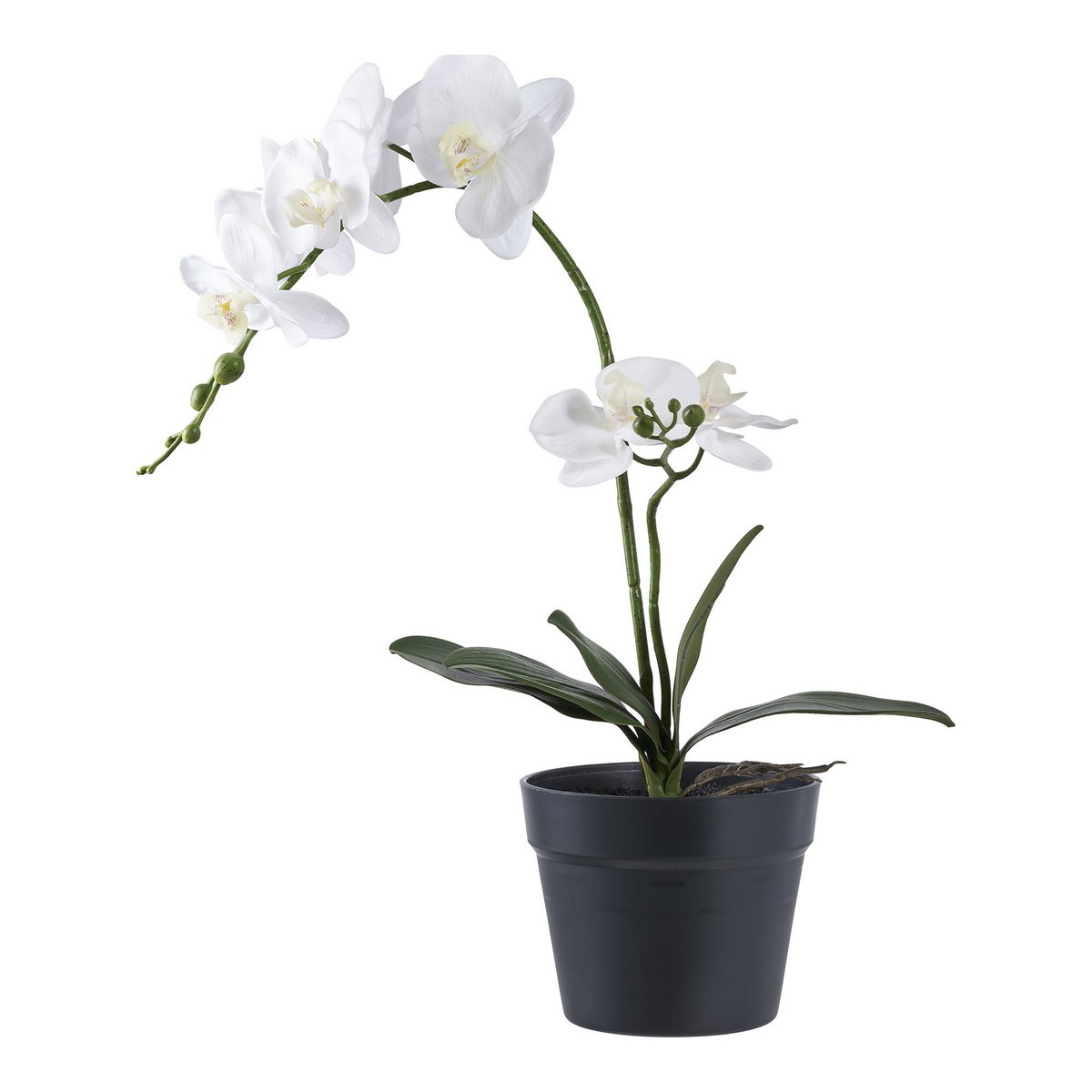 Faux Orchid Plant – White