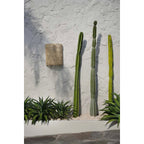 Siri Kit Natural Sisal Woven Wall Lamp