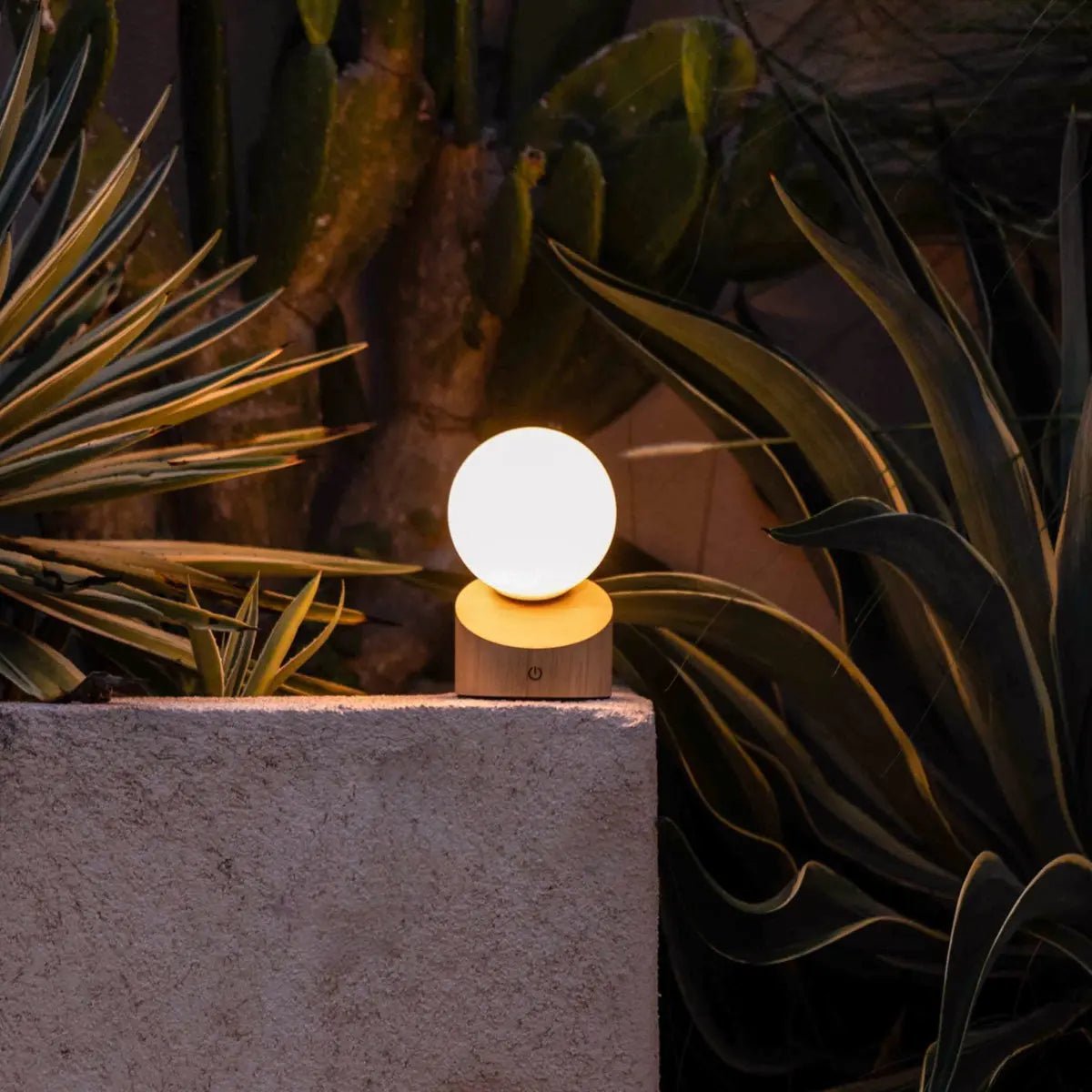 Morris cordless lamp side view showing rubberwood base and matte glass shade