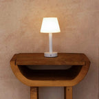 Zoe rechargeable lamp in living room ambient setting