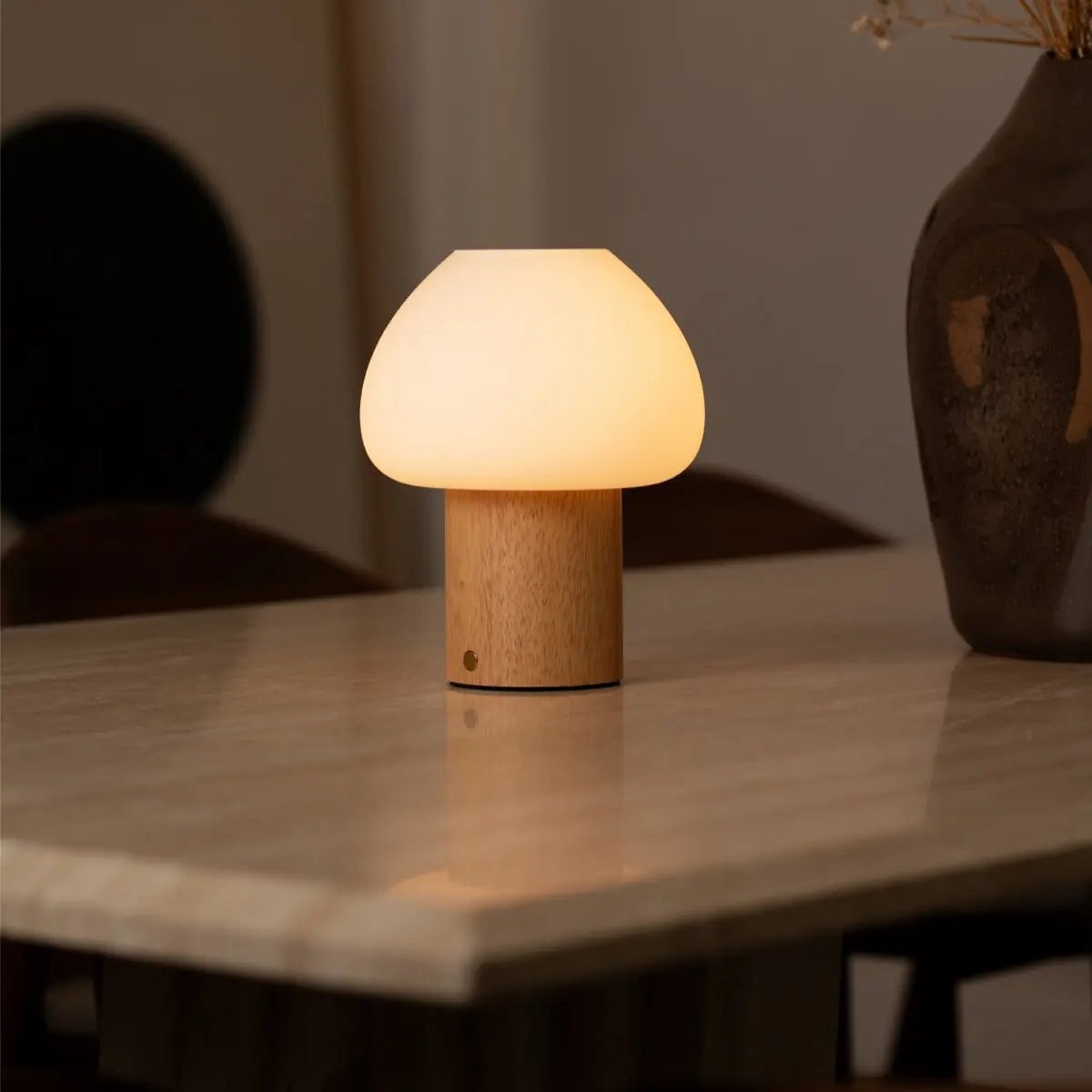 Fynn rechargeable lamp in dining room setting