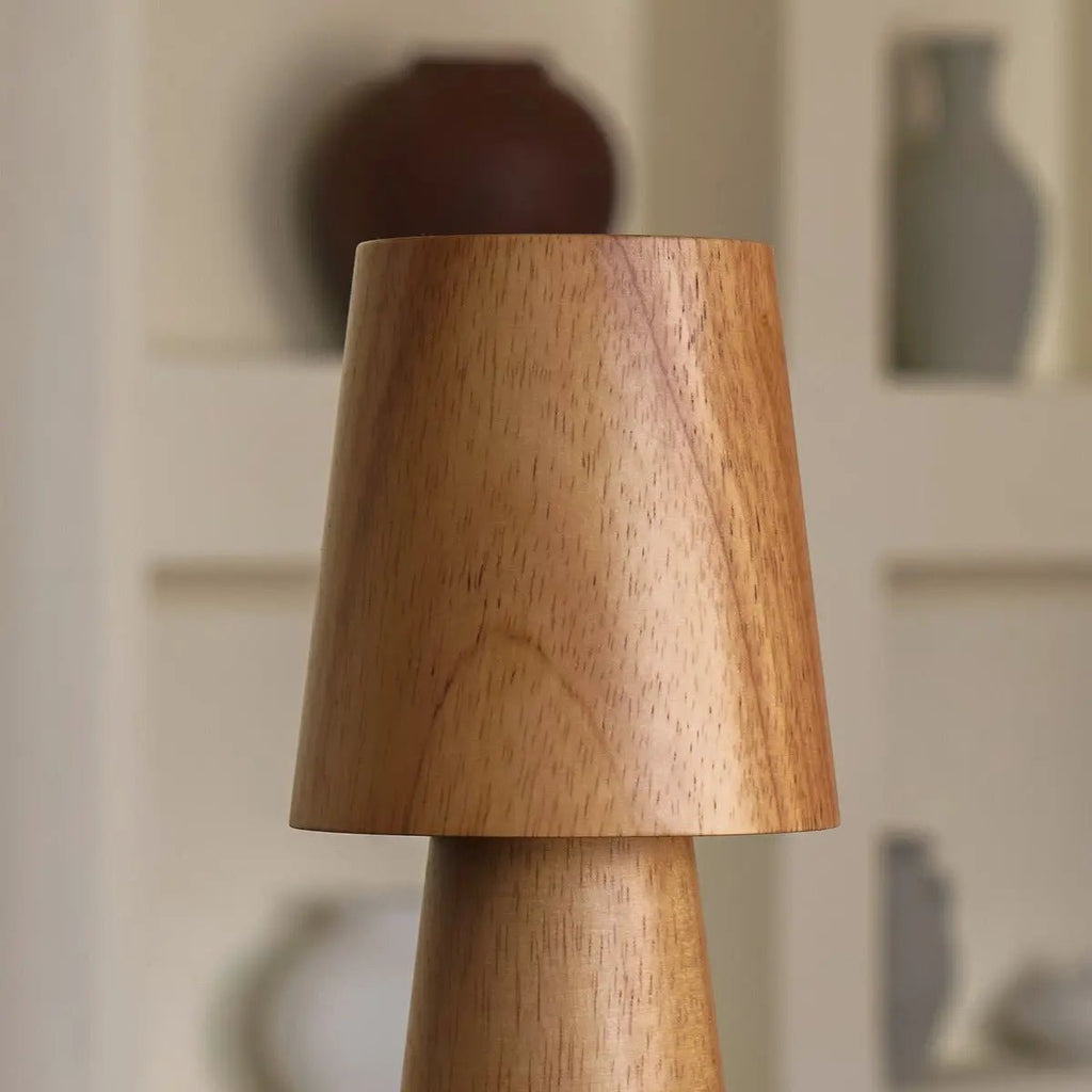 Lucas rechargeable lamp in living room console