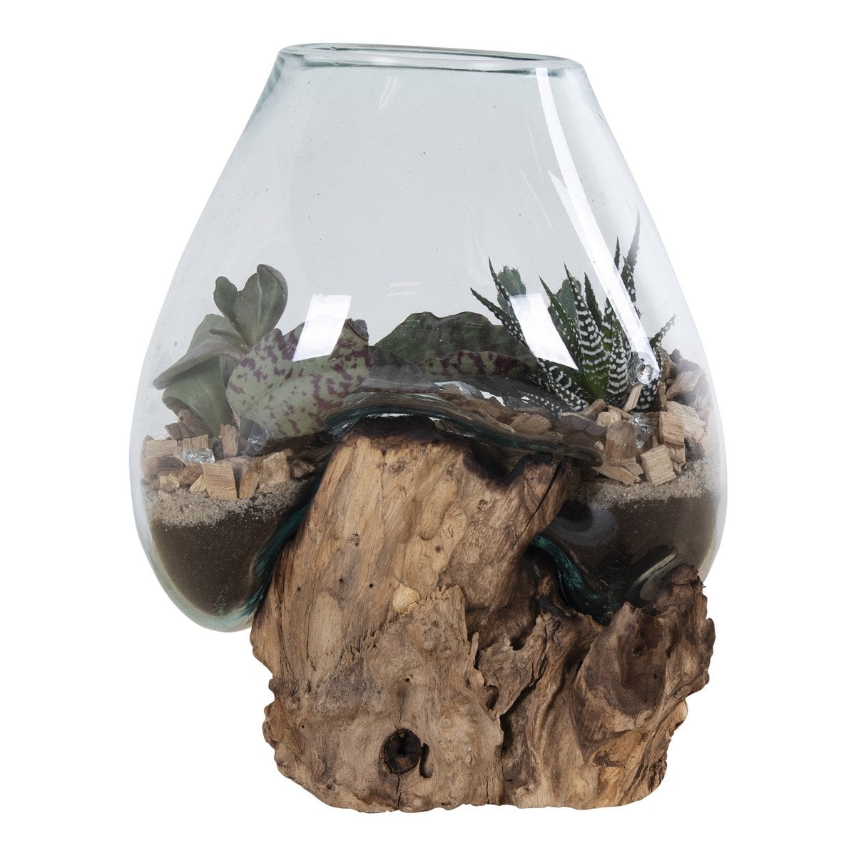 Belor teak waterdrop display on shelving unit