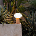 Max wood glass cordless rechargeable table lamp 5000 mAh