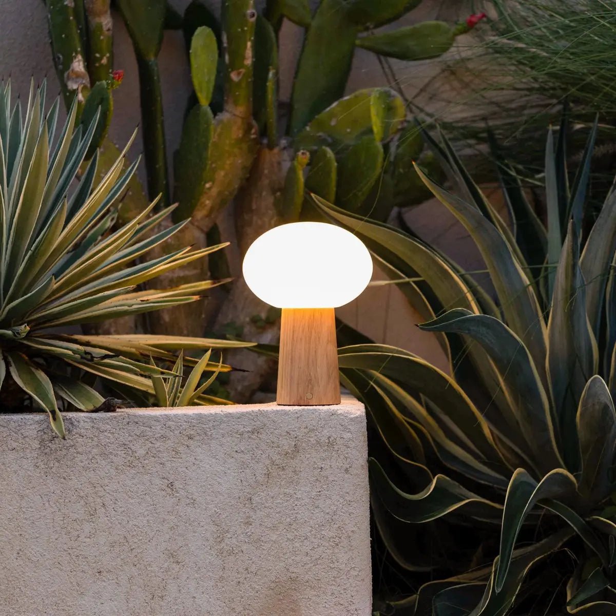 Max wood glass cordless rechargeable table lamp 5000 mAh
