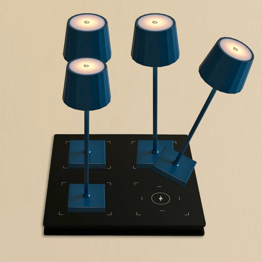 Wouter delft blue cordless lamp and Amstel Dock Professional Set