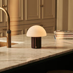 Timo Dark Brown Wood & Glass Cordless Table Lamp