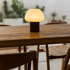 Fynn Dark Brown Wood & Glass Cordless Table Lamp