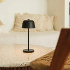 Anton cordless lamp overhead view cylindrical silhouette