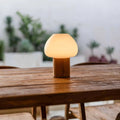 Fynn glass wooden cordless rechargeable table lamp