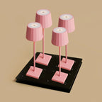 Wouter flamingo pink cordless lamp and Amstel Dock Professional Set