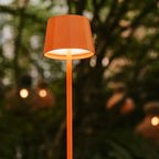 Wouter blossom orange cordless lamp side profile metal finish