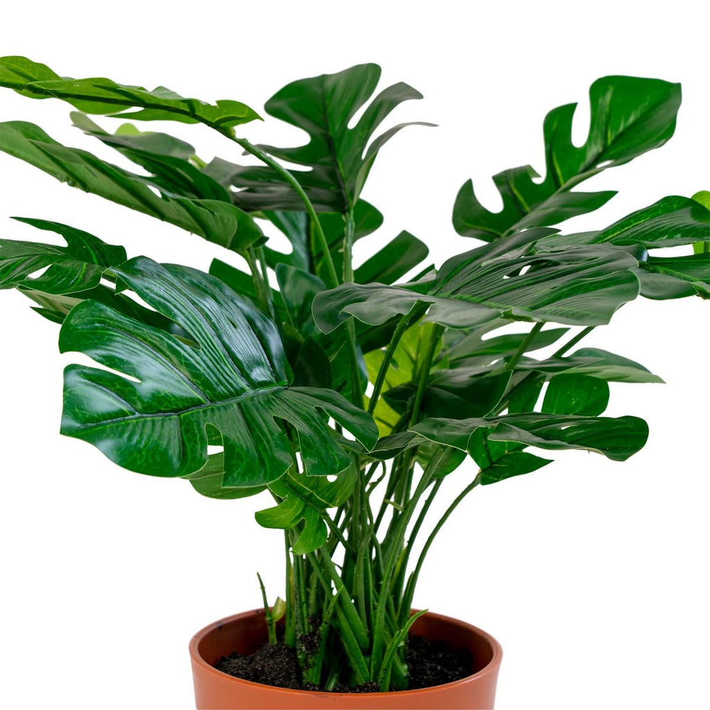 Faux Monstera Plant – Compact Green