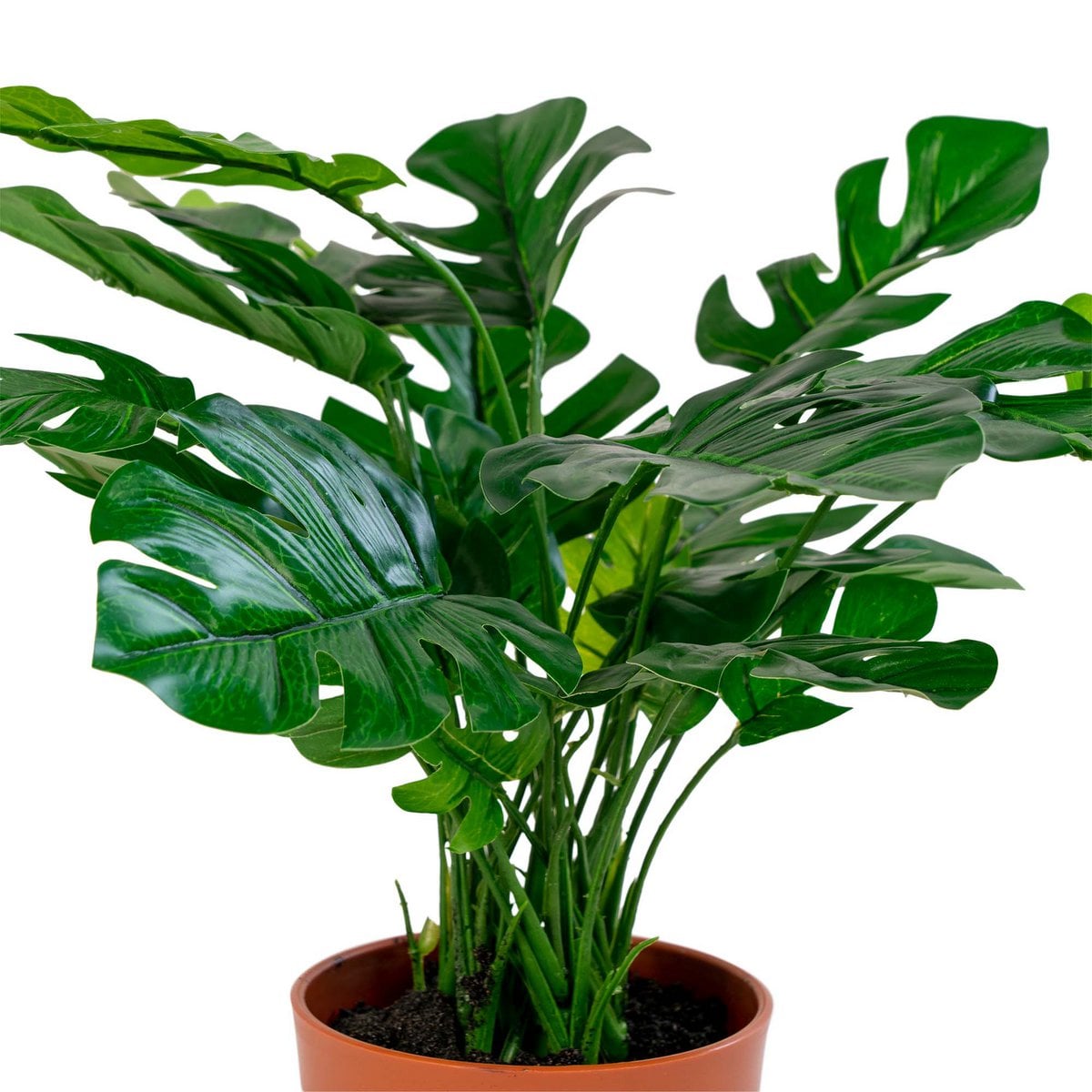 Faux Monstera Plant – Compact Green