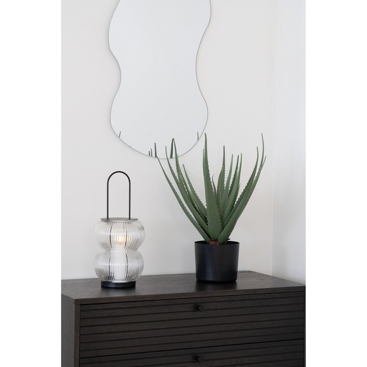 Potted plant and decorative lantern on a wooden surface with a white wall background
