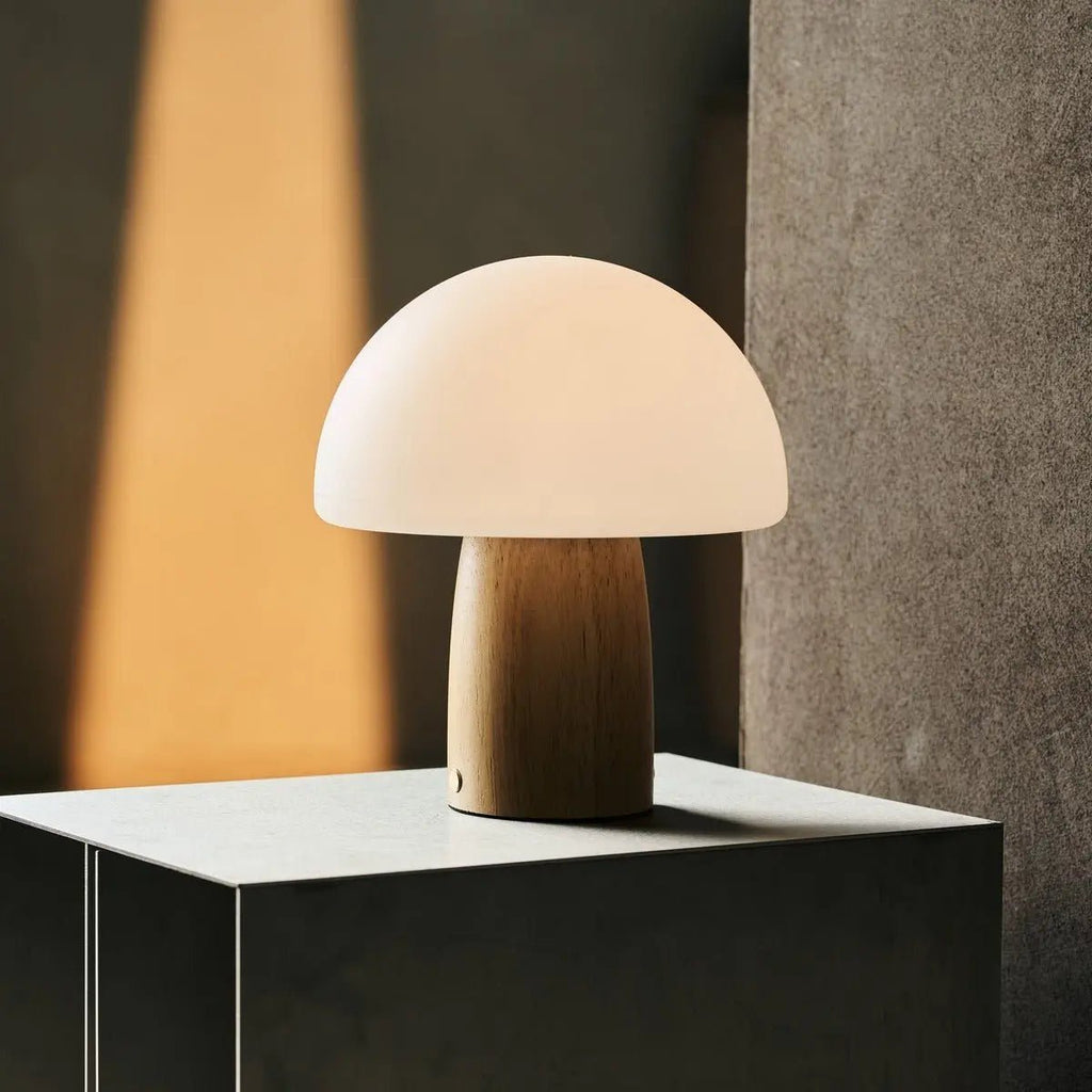 Mia cordless lamp on living room shelf