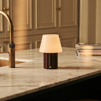 Javi Dark Brown Wood & Glass Cordless Table Lamp