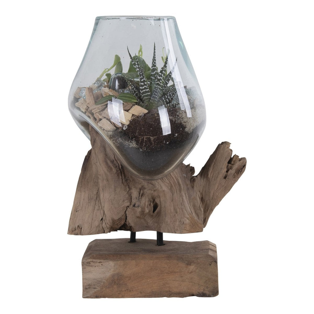 Marina teak display side view showing droplet-shaped glass holder