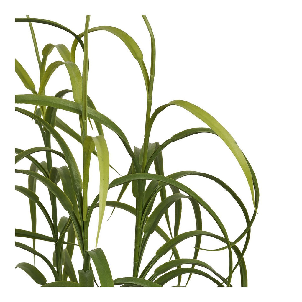 Grass plant, green, H:68 cm