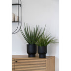 Faux Aloe Vera Plant – Green