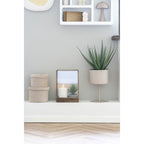 Faux Aloe Vera Plant – Green