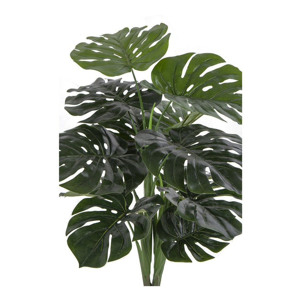 Monstera – Grün, PE-Kunststoff/Polyester/Draht/Zement, 17x18x90 cm