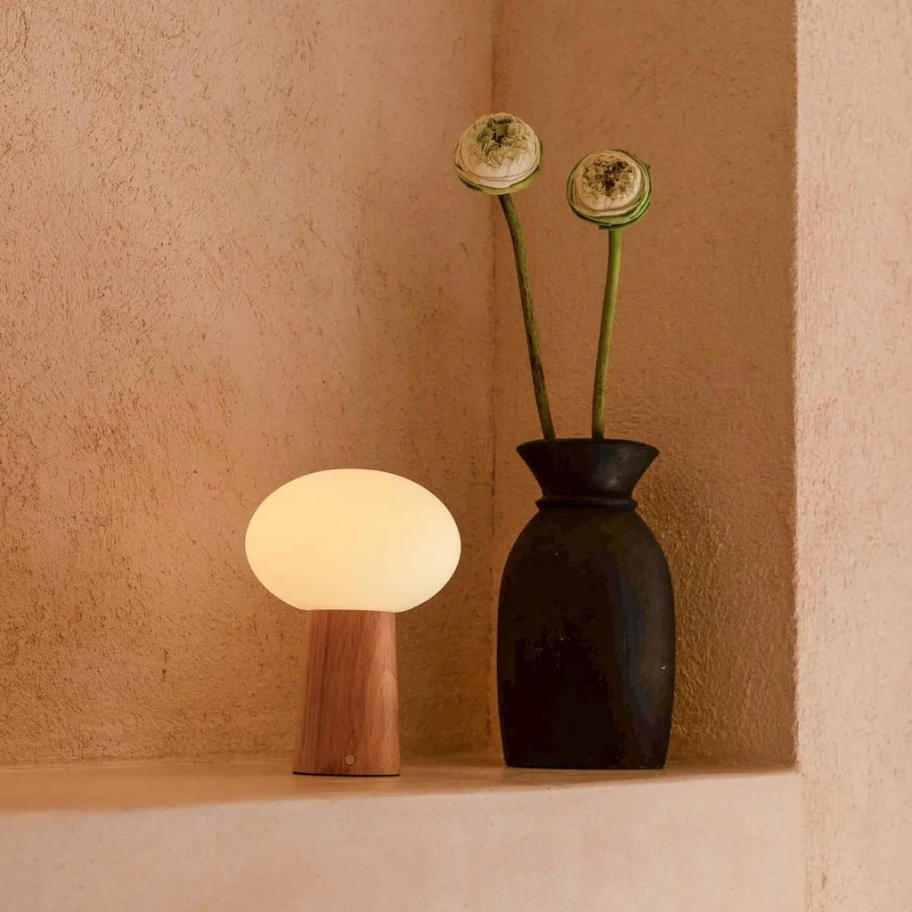 Max rechargeable lamp matte glass shade warm glow