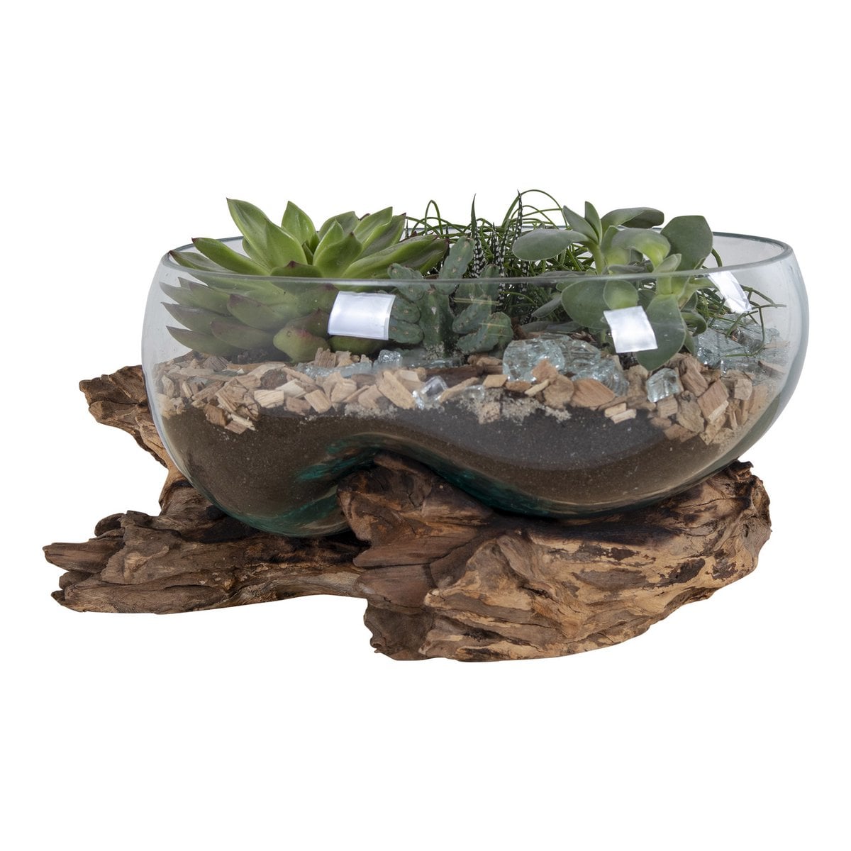 Glass terrarium with plants on a wooden base