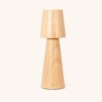 Lucas cordless lamp full product view on white background