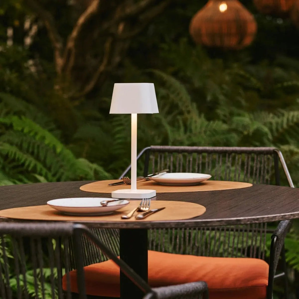 Ava rechargeable lamp task light bright mode