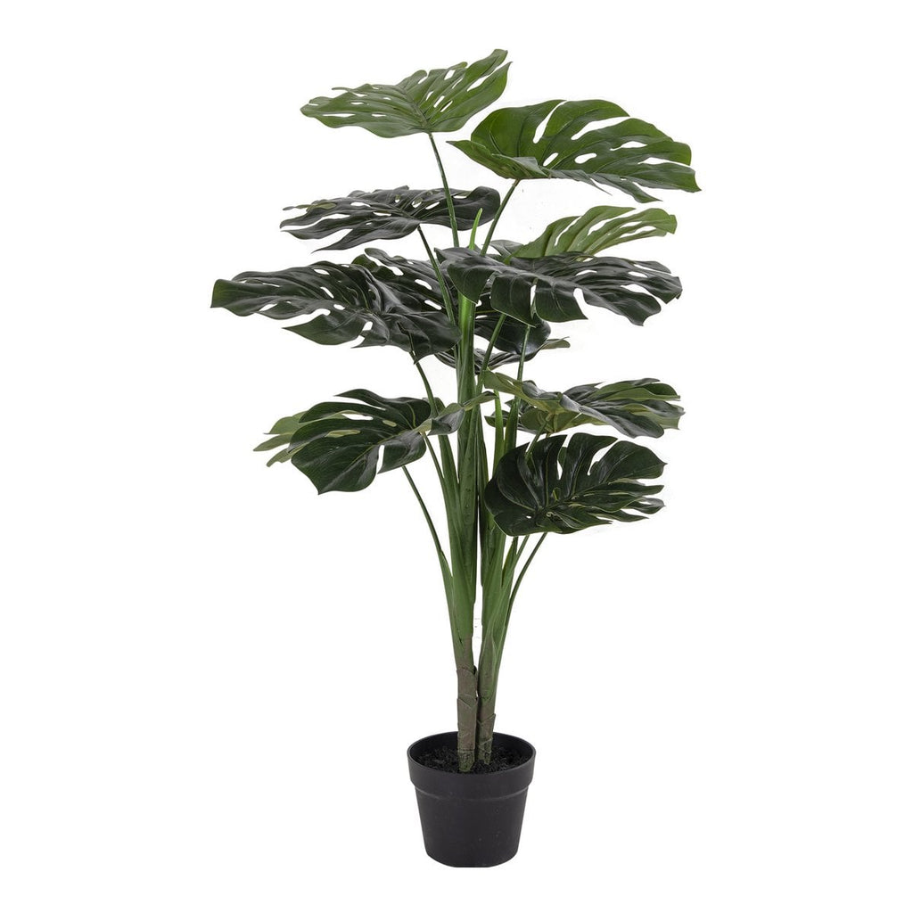 Monstera – Grün, PE-Kunststoff/Polyester/Draht/Zement, 17x18x90 cm