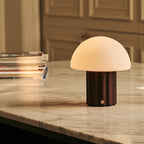 Timo Dark Brown Wood & Glass Cordless Table Lamp