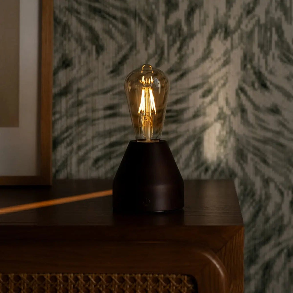 Zavi cordless lamp detail of glass shade and dark rubberwood