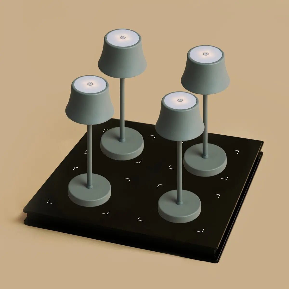 De Pijp mouse grey cordless lamp and Amstel Dock Professional Set