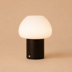 Fynn Dark Brown Wood & Glass Cordless Table Lamp