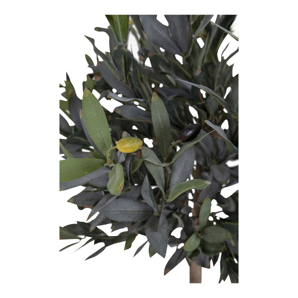 Olivenbaum - Grün, PE-Kunststoff/Polyester, 43x47x120 cm