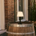 Zoe rechargeable lamp in living room setting