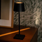 William matte black lamp in Scandinavian minimalist interior