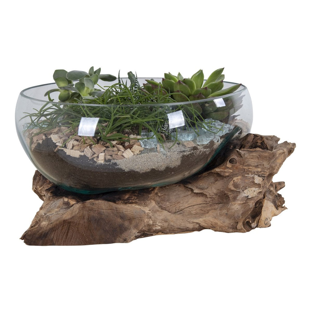 Glass bowl with plants on a wooden log against a white background
