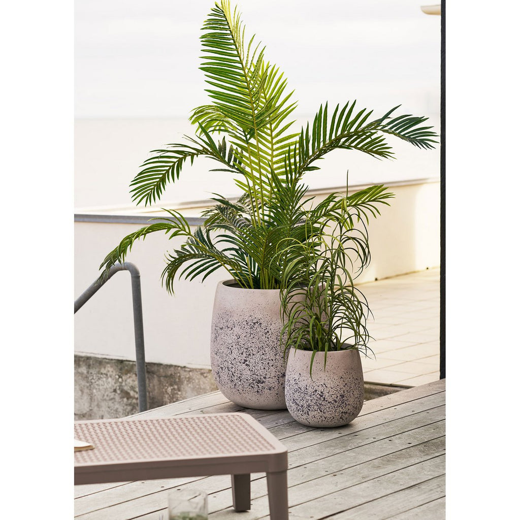 Grass plant, green, H:68 cm
