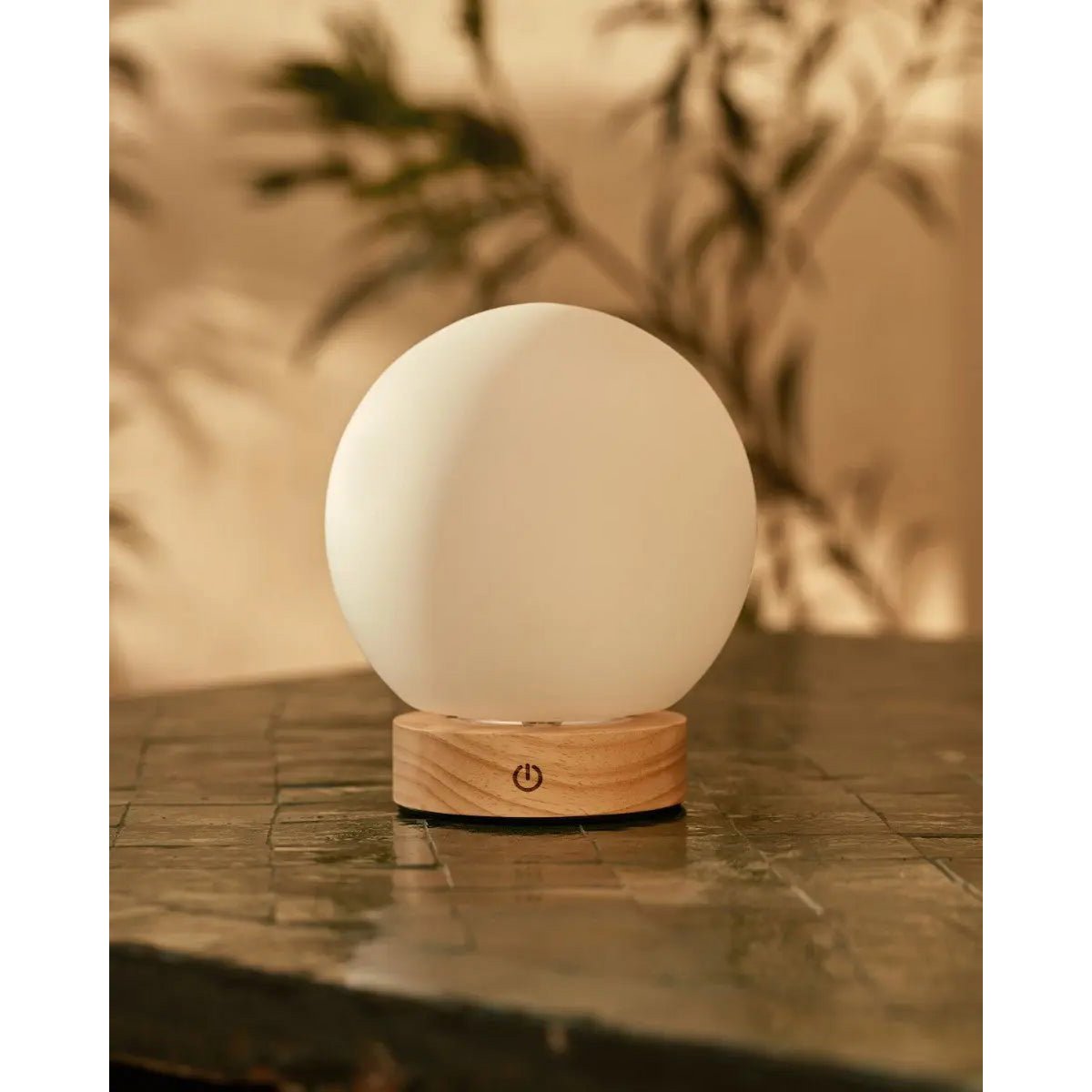Flore rechargeable lamp matte glass shade soft warm glow