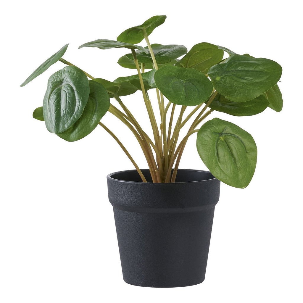 Faux Pilea Plant – Green