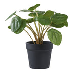 Faux Pilea Plant – Green