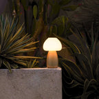 Beer cordless lamp detail of glass shade and wood