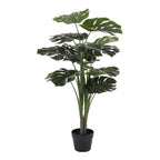 Monstera – Grün, PE-Kunststoff/Polyester/Draht/Zement, 17x18x90 cm