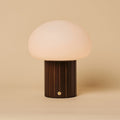 Pieter Dark Brown Wood & Glass Cordless Table Lamp