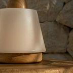 Liv rechargeable lamp in living room setting